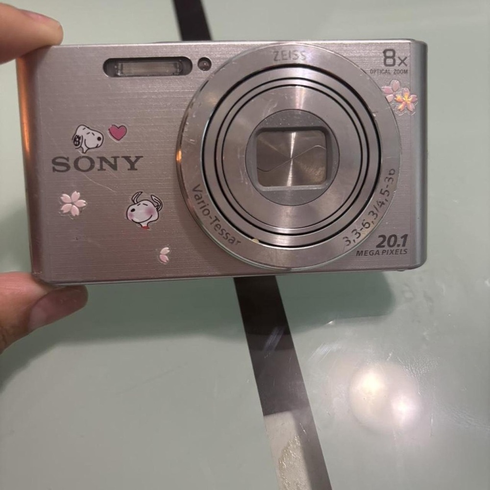 Sony Gray Digital Camera with Cute Accents